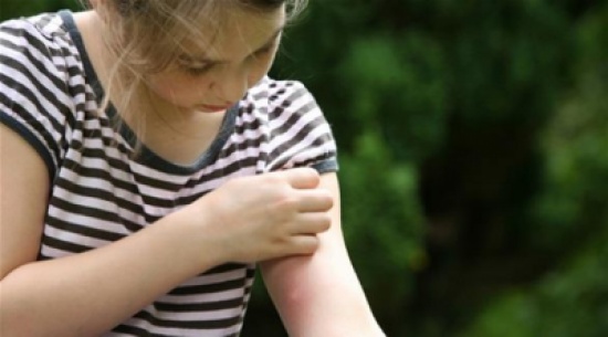 2014 قد يكون عام البعوض بسبب الحرارة