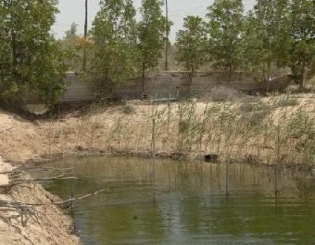 وفاة طفل غرقاً في بركة زراعية بالاغوار الجنوبية وفاة طفل غرقاً في بركة زراعية بالاغوار الجنوبية