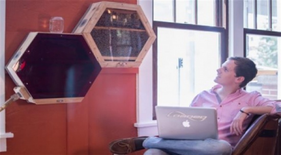 نظام جديد يسمح بتربية النحل داخل المنزل