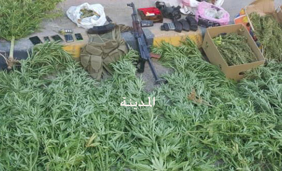 صور : مداهمة منازل في البلقاء والقبض على 4 اشخاص بحوزتهم 700 شتلة ماريجوانا صور : مداهمة منازل في البلقاء والقبض على 4 اشخاص بحوزتهم 700 شتلة ماريجوانا
