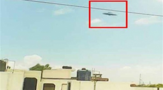 طالب هندي يلتقط أوضح صورة لطبق طائر