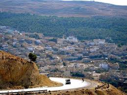 مسح ميداني للأسر السورية في الطفيلة