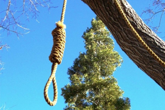 اربد : العثور على جثة طفل معلقا بشجرة.. والأمن يحقق