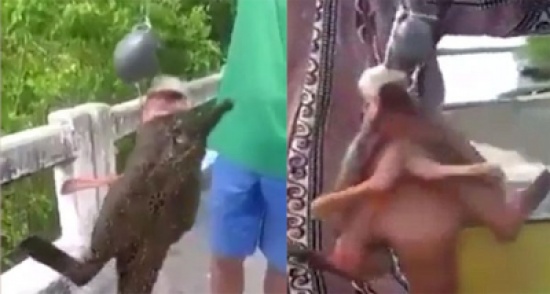 شاهد.. سمكة غريبة بساقين تثير رعب الصيادين