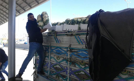 الأمانة : بدء العمل في ساحة الصادرات بالسوق المركزي