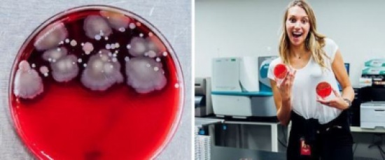 علمياً: كائنات مميتة تعيش على هاتفك الجوال.. هكذا تتخلص منها