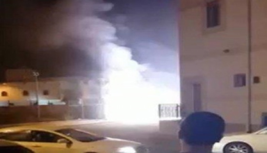 شاهد.. قط يفجر محطة كهربائية