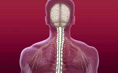 ندوة توعوية بمخاطر الإصابة بالحبل الشوكي في "الأردنية"