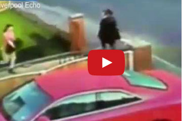 سرقة عشب الجيران بجد ونشاط