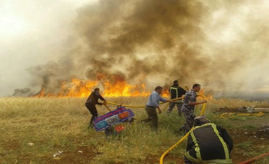 اخماد حريق محاصيل زراعية في اربد اخماد حريق محاصيل زراعية في اربد
