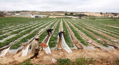 تحذير للمزارعين