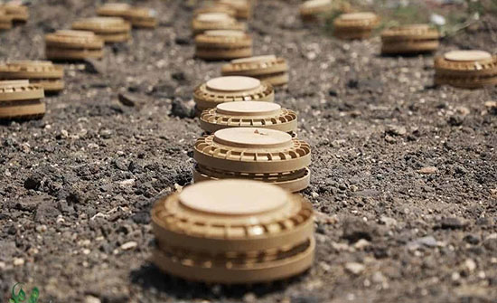 حدائق الموت.. تقرير يكشف أرقاماً مرعبة عن ضحايا ألغام الحوثي