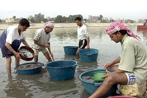 عراقيون ينقبون عن الذهب في مجاري الصرف الصحي
