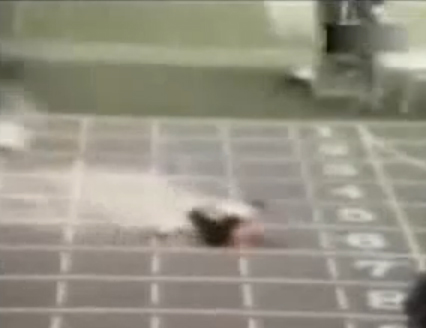 والله مسكين 
