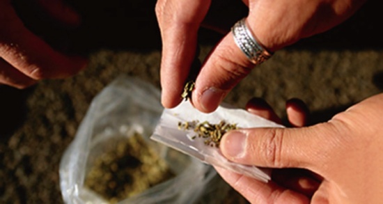 احباط  تهريب  50000 الف حبة مخدرة