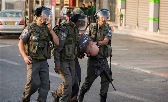 الاحتلال يعتقل 16 فلسطينيا الاحتلال يعتقل 16 فلسطينيا