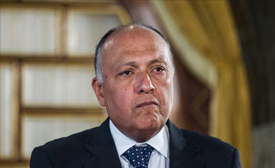 شكري يبحث مع عزام الأحمد مستجدات المصالحة الفلسطينية شكري يبحث مع عزام الأحمد مستجدات المصالحة الفلسطينية