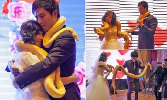 فيديو: عروسان يتبادلان الثعابين بدلاً من خاتم الزفاف