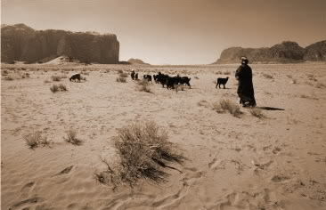 الموافقة على تنفيذ خطة العمل المجتمعية لبرنامج التعويضات البيئية