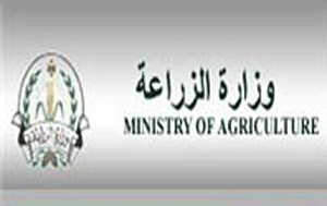 الزراعة تبحث توفير اللحوم خلال رمضان  
