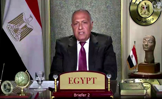 مصر تطالب بحل توافقي يحفظ سيادة ليبيا ويمنع التدخلات مصر تطالب بحل توافقي يحفظ سيادة ليبيا ويمنع التدخلات