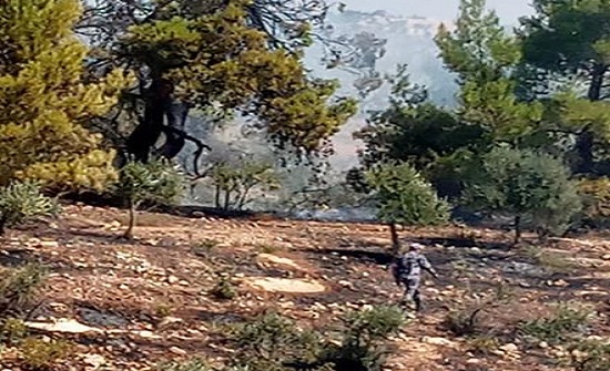 جرش: إخماد حريق 35 دونما من الأشجار بجبل المنارة