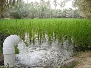 خبراء اردنيون والمان يؤكدون جدوى اعادة استخدام المياه الرمادية خبراء اردنيون والمان يؤكدون جدوى اعادة استخدام المياه الرمادية