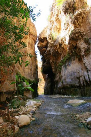 وادي بن حماد في الكرك بانتظار تبوء موقعه على خارطة السياحة العالمية وادي بن حماد في الكرك بانتظار تبوء موقعه على خارطة السياحة العالمية