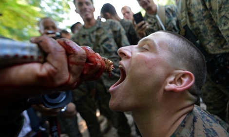 دم "الكوبرا".. مشروب علاجي في اندونيسيا