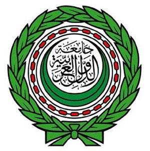 العربية لحقوق الانسان تبدأ اجتماعاتها بالقاهرة 