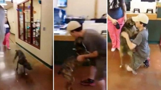 شاهد: رد فعل كلب رأى صاحبه القديم