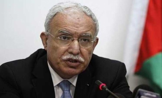 مسؤول فلسطيني: إدارة ترامب أرسلت إشارات بالتزامها بحل القضية الفلسطينية مسؤول فلسطيني: إدارة ترامب أرسلت إشارات بالتزامها بحل القضية الفلسطينية