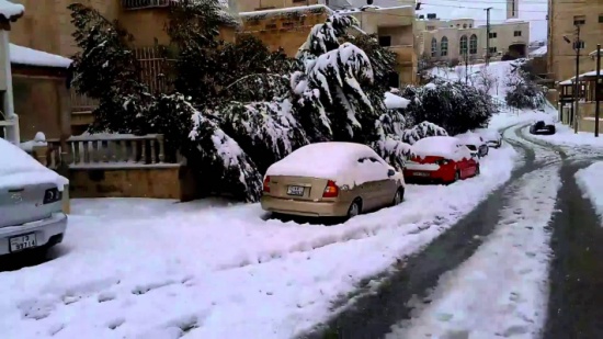 المملكة تستقبل العام الجديد بالزائر الأبيض المملكة تستقبل العام الجديد بالزائر الأبيض