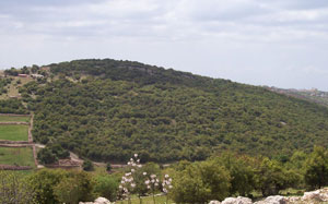 انطلاق فعاليات المعسكر النهاري الأول لمركز شابات عجلون  