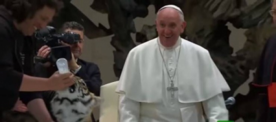 فيديو|نمر يحاول عض يد البابا فرنسيس!!