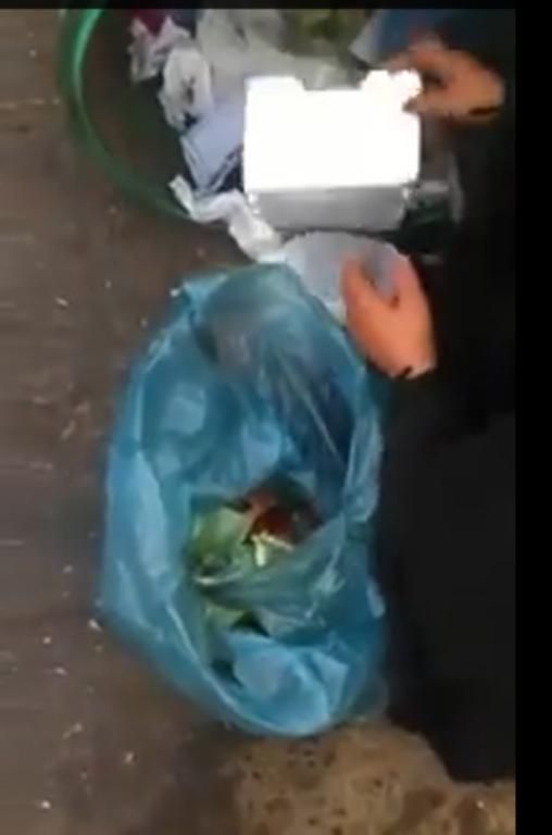 مسنة تبحث في صندوق القمامة عن طعام!