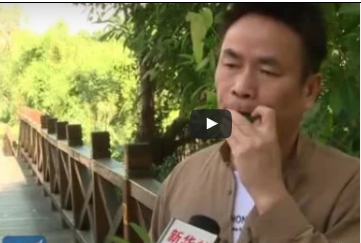 شاهد.. صيني يعزف مقطوعات موسيقية رائعة بأوراق الأشجار