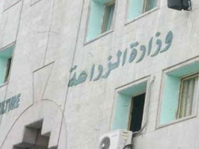 الزراعة والنقل تبحثان قضايا الصادرات الزراعية ونقص عدد البرادات الزراعة والنقل تبحثان قضايا الصادرات الزراعية ونقص عدد البرادات