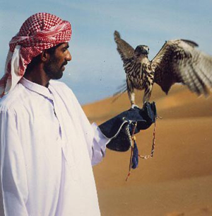  أول بركات الإنضمام لمجلس التعاون.. الأردن يسمح لشيوخ الخليج بإصطحاب صقورهم في موسم الصيد الصيفي 