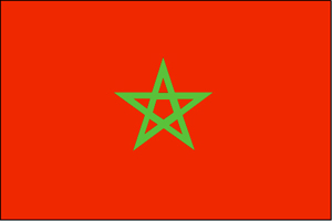 المغرب: 98% من الناخبين صوتوا لصالح التعديلات الدستورية  