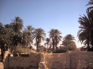 معان : إغلاق الطريق المؤدية للسعودية احتجاجاً على غموض مصير البزايعة معان : إغلاق الطريق المؤدية للسعودية احتجاجاً على غموض مصير البزايعة