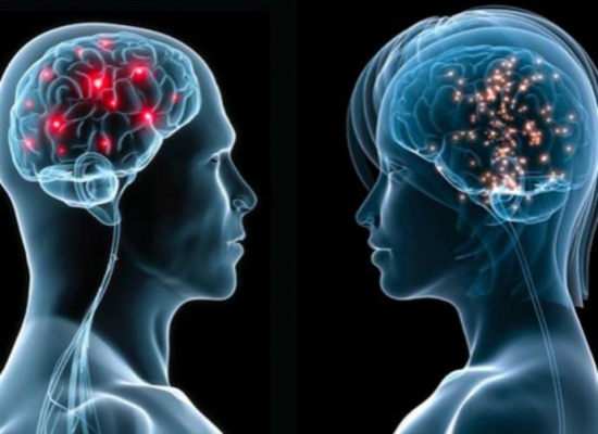 6 فوارق بين دماغ المرأة والرجل.. لن تصدقها! 6 فوارق بين دماغ المرأة والرجل.. لن تصدقها!