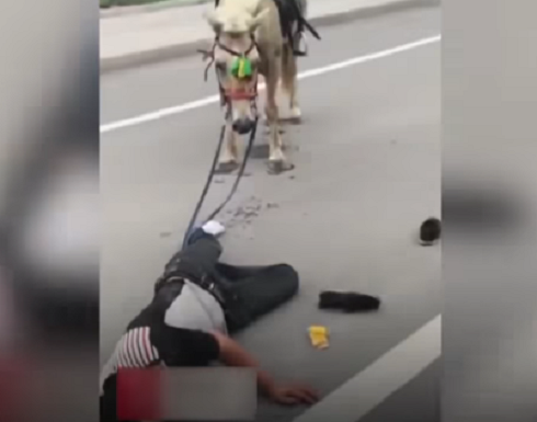 بالفيديو : حادث مؤلم لرجل يركب حصان بشكل هستيري