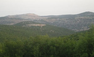 برقش تعرض احتياجاتها الخدمية على متصرف الكورة  