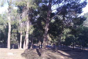 افتتاح الأسبوع الثاني لمخيم امانة عمان الدولي الثامن للأطفال  