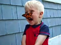 فيديو: شاهد ردة فعل طفل وقفت فراشة على وجهه