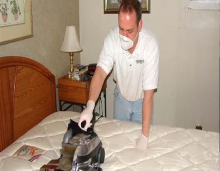 أسلحة لمحاربة عث الغبار المنزلي