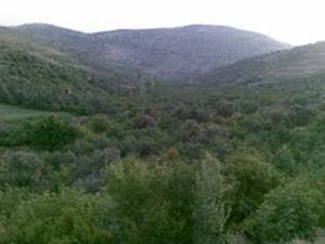 المطالبة برش ثمار مزارعي وادي الريان  