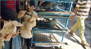 اغلاق عدد من المطاعم والمخابز بالمزار الجنوبي  