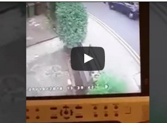 شاهد.. عجوز تطير في الهواء مع أحفادها بعد تعرضهم لحادث